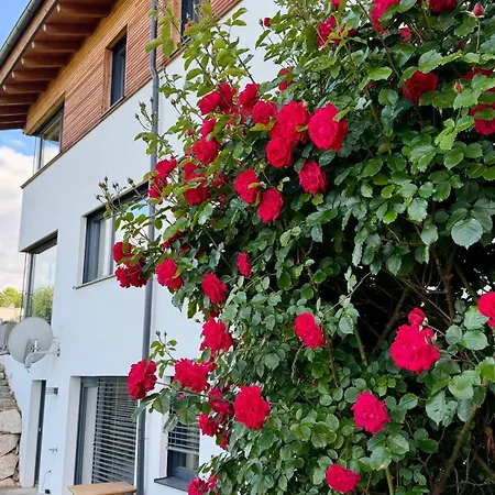 Gartenwohnung Apartment