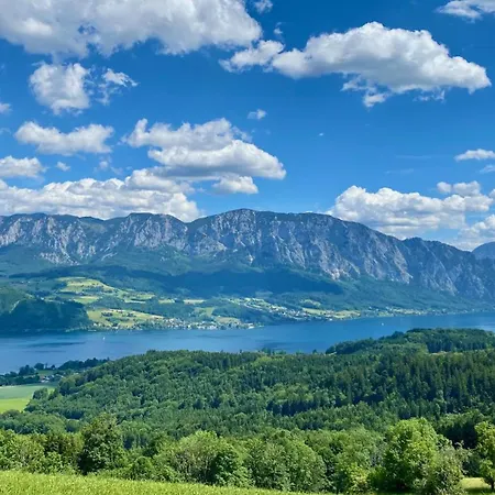 Gartenwohnung Nussdorf am Attersee